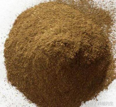 酒糟喂羊绝招视频,刚出炉的啤酒酒糟可以直接喂羊吗