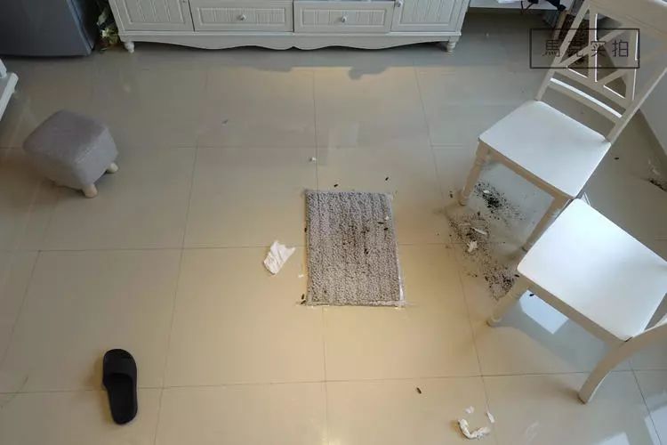 科沃斯和戴森机器人哪个好,irobotbraava擦地机器人