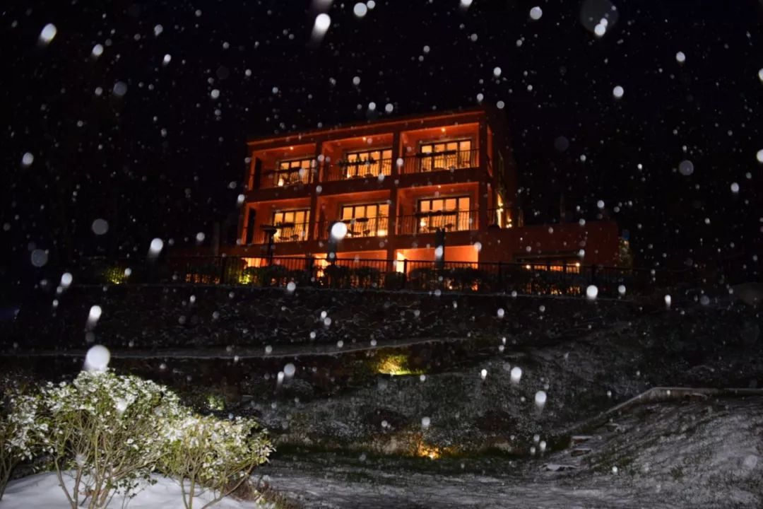 当东方遇上西方,当东方遇见西方戛纳