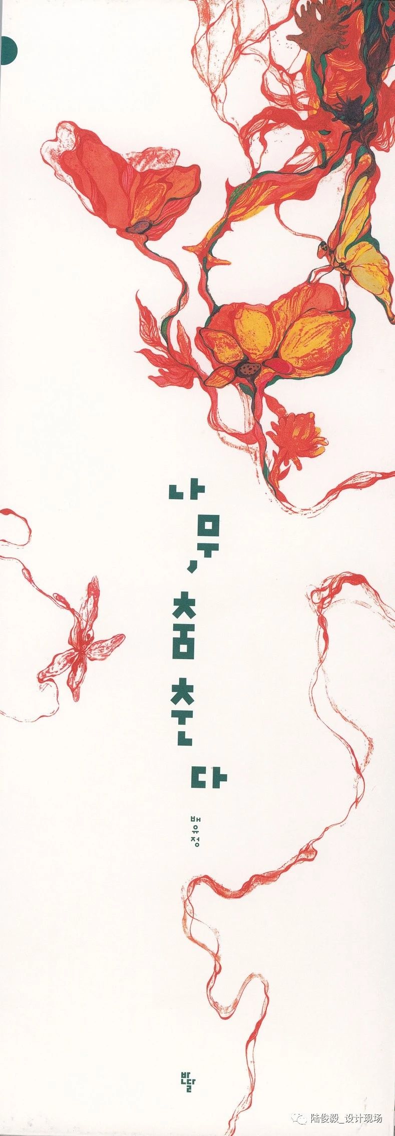 国际获奖26本绘本,2019年最佳绘本