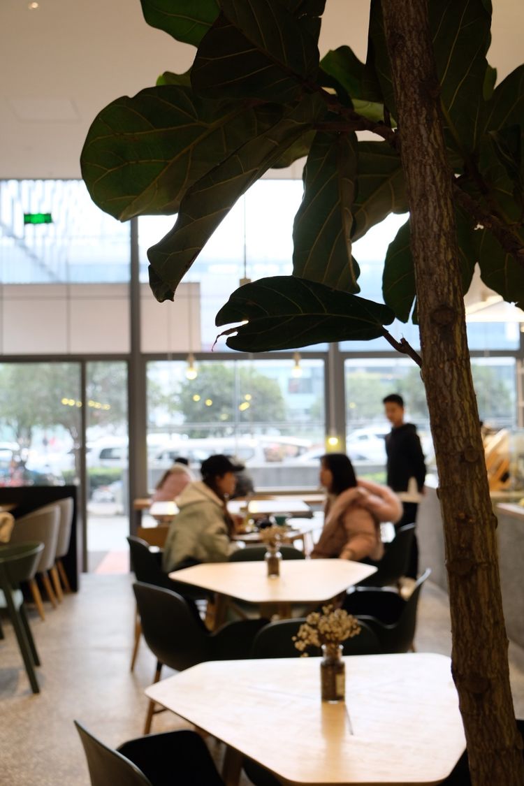 两个闺蜜去拉萨,两个闺蜜去清迈