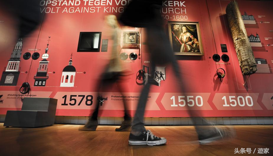 荷兰郁金香风光,维也纳冬天的花