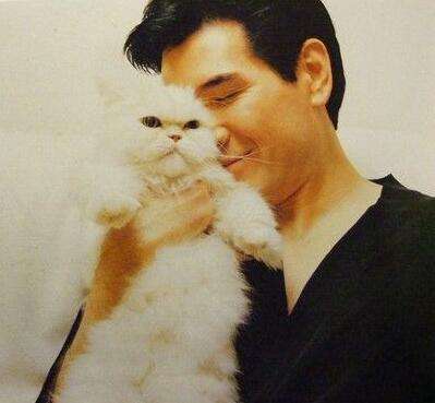 8件会惹毛猫咪的事情