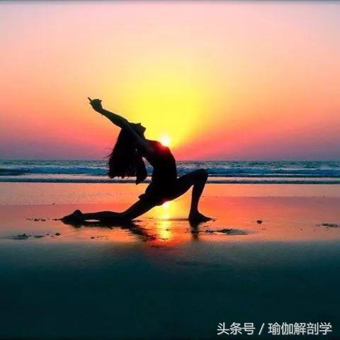 揭露瑜伽骗局,瑜伽骗局大揭秘电视剧