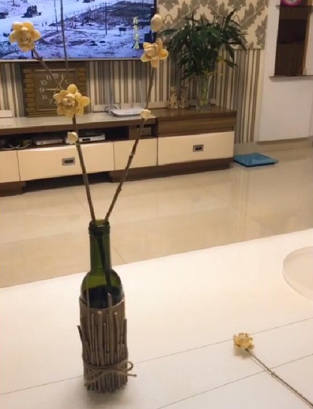 开心果吃完不要扔,开心果可以做哪些实验