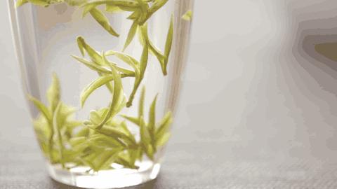 警惕一喝绿茶就不舒服,冬天喝红茶和绿茶伤胃吗