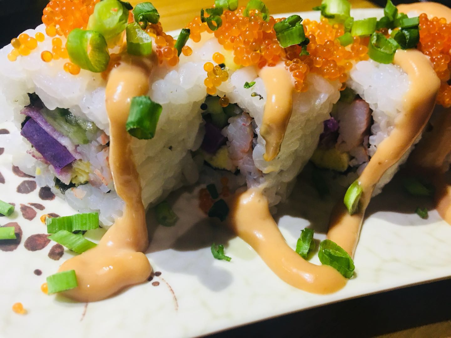 猫猫在路上,猫猫在路上走