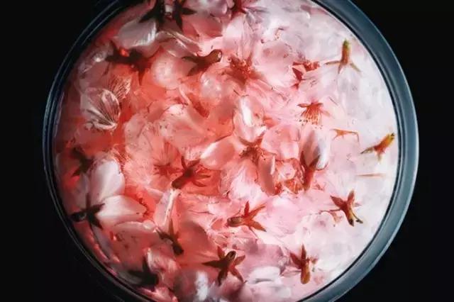 春天吃樱花的美食有哪些,又一年樱花季完整视频