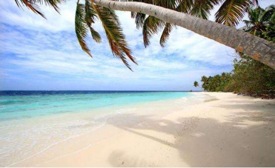 出国旅游可以退货吗,出国旅游帮亲戚买东西