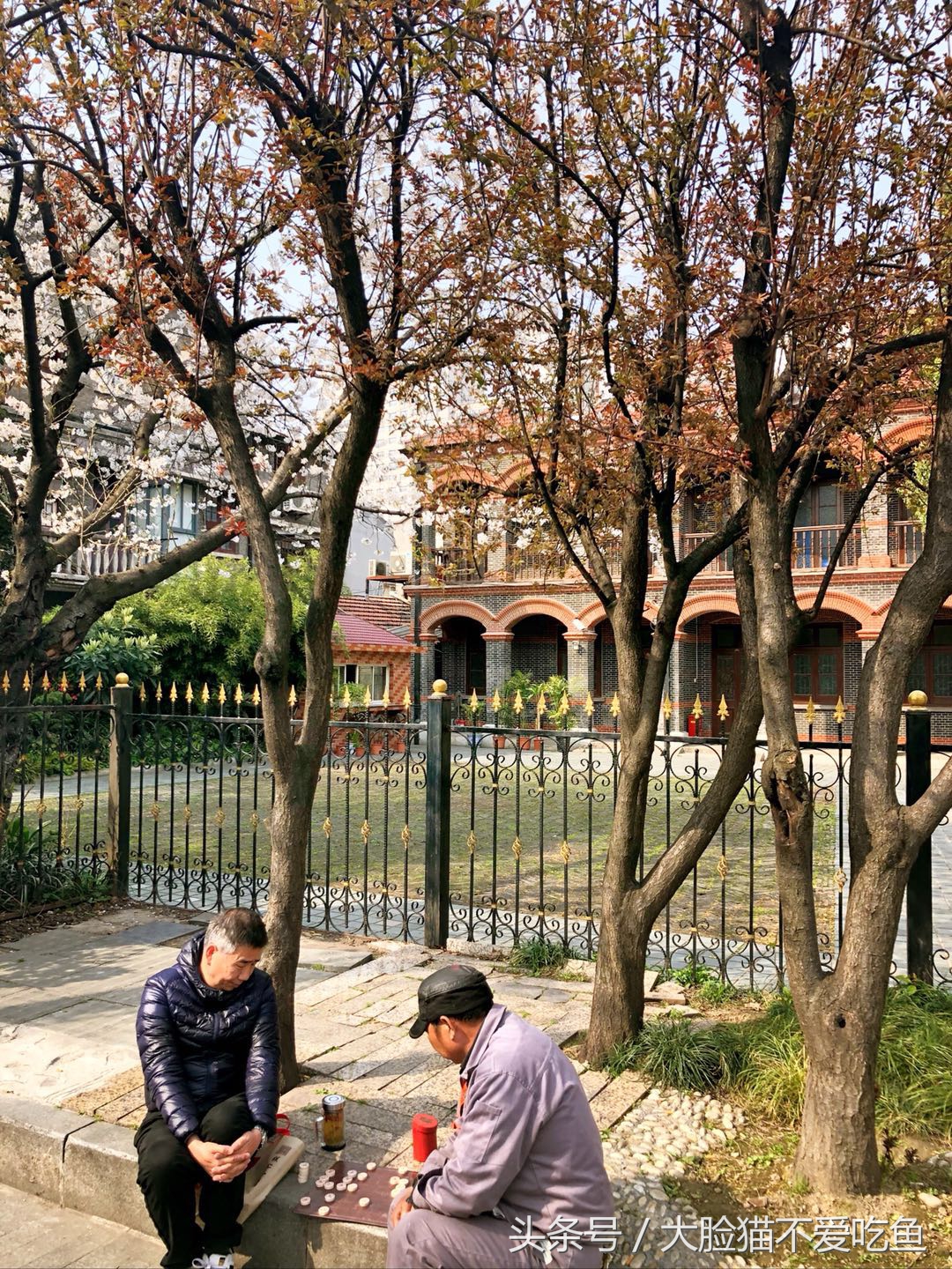 上海都市频道我和春天有个约会,与春天来个最美的约会