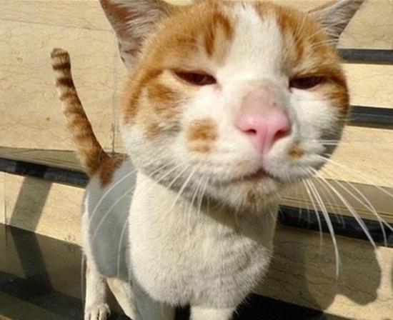 51岁黎明全部照片,56岁黎明人生故事