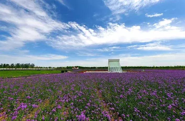 滨海，向全世界发出邀请！