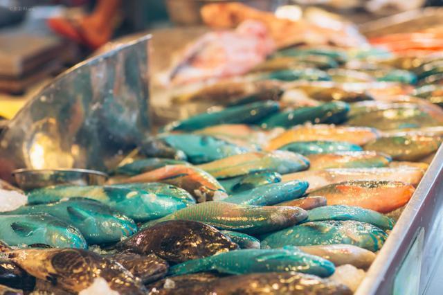 黑妹胖胖旅游记,三亚胖小六5天4晚自由行团报价