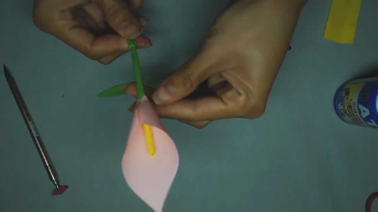 怎么让马蹄莲快速盛开,用简单的方法做一枝会开的莲花