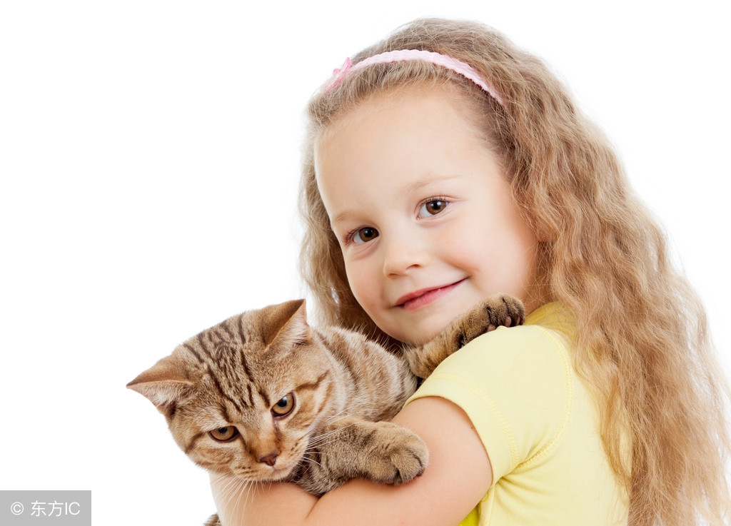 养狗的人和养猫人的性格,喜欢养猫的人和养狗的人