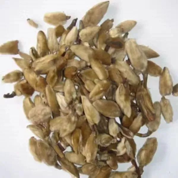 这个春季感冒咽痛咳嗽吃什么药,春季气候忽冷忽热注意预防感冒