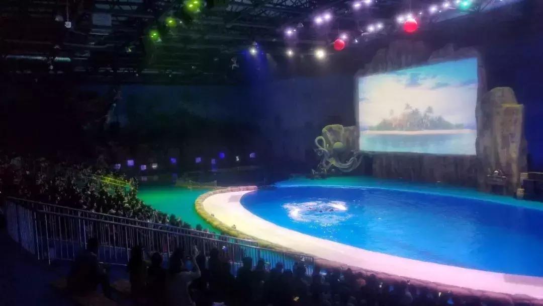 华夏文旅西安度假区免费旅游攻略,西安市华夏文旅西安度假区