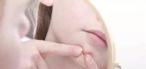 蹇犻箯鎶よ偆瑙嗛鍏ㄩ泦,蹇犻箯鎶よ偆