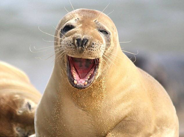 搞笑段子幽默搞笑看完不笑算我输,24则搞笑段子幽默滑稽句句俏皮