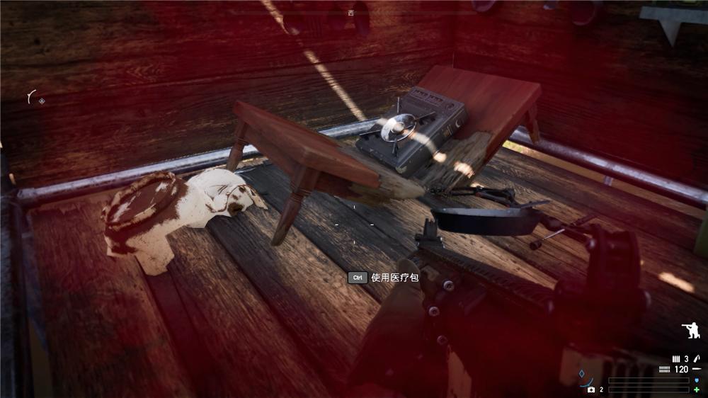 育碧孤岛惊魂4季票,育碧孤岛惊魂5预购奖励有哪些