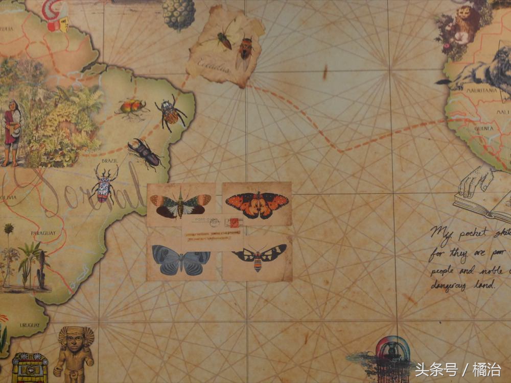 去香港迪士尼入住体验,香港迪士尼探索家酒店游泳池