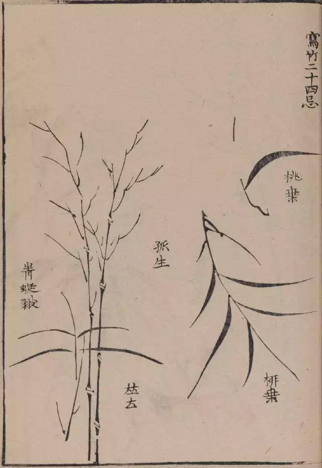 芥子园竹谱高清临摹,芥子园画谱原文