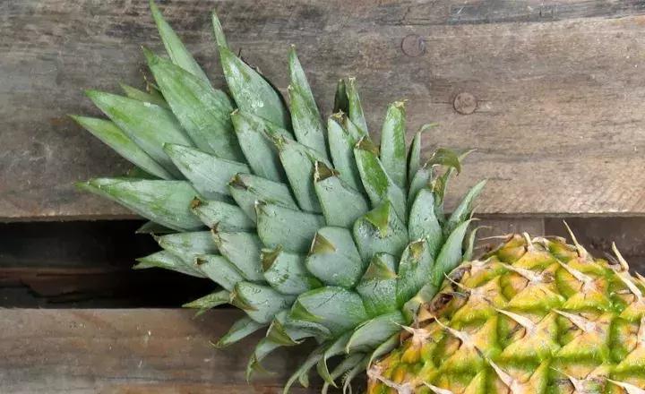 茶浪嘿古法奶茶,茶浪