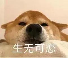 深圳经历过最强台风,深圳经历的最强台风