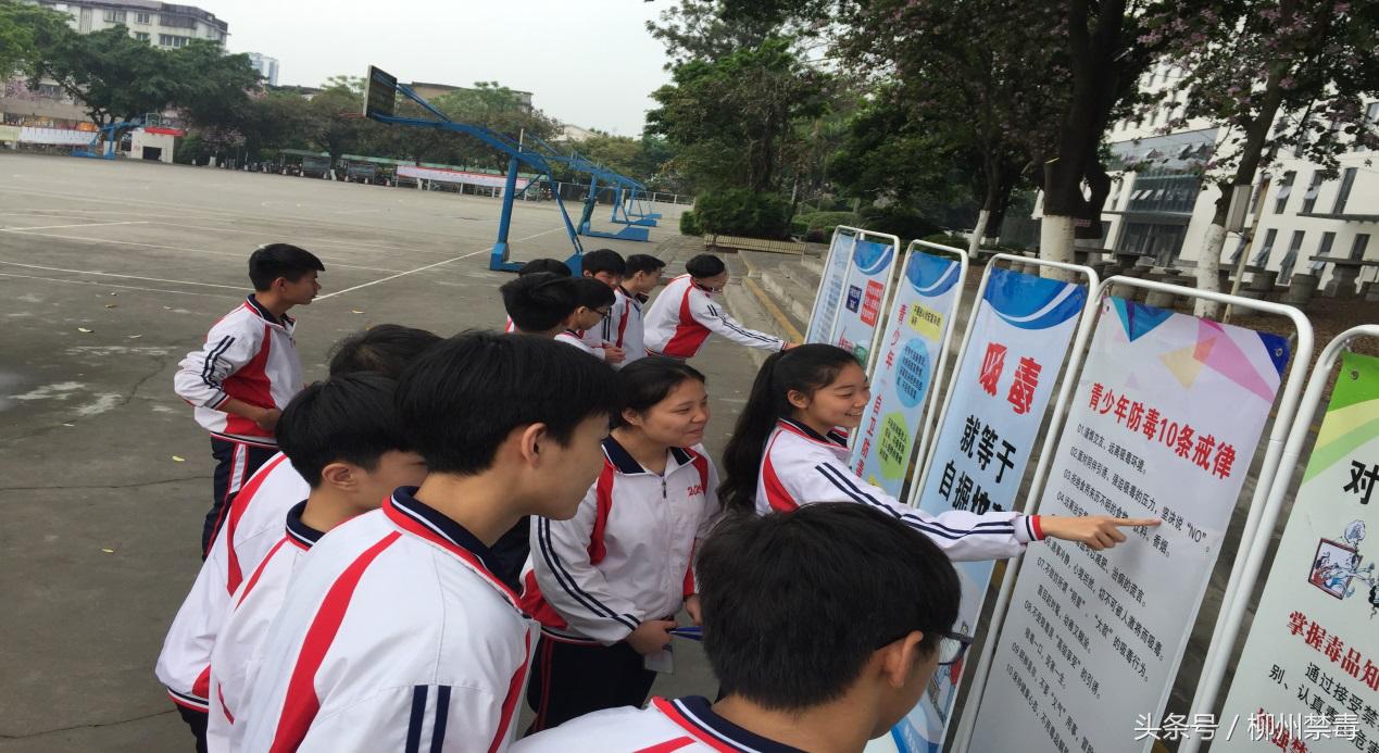 拒绝烟酒与禁毒实践作业,开展开学第一课禁毒教育活动简报