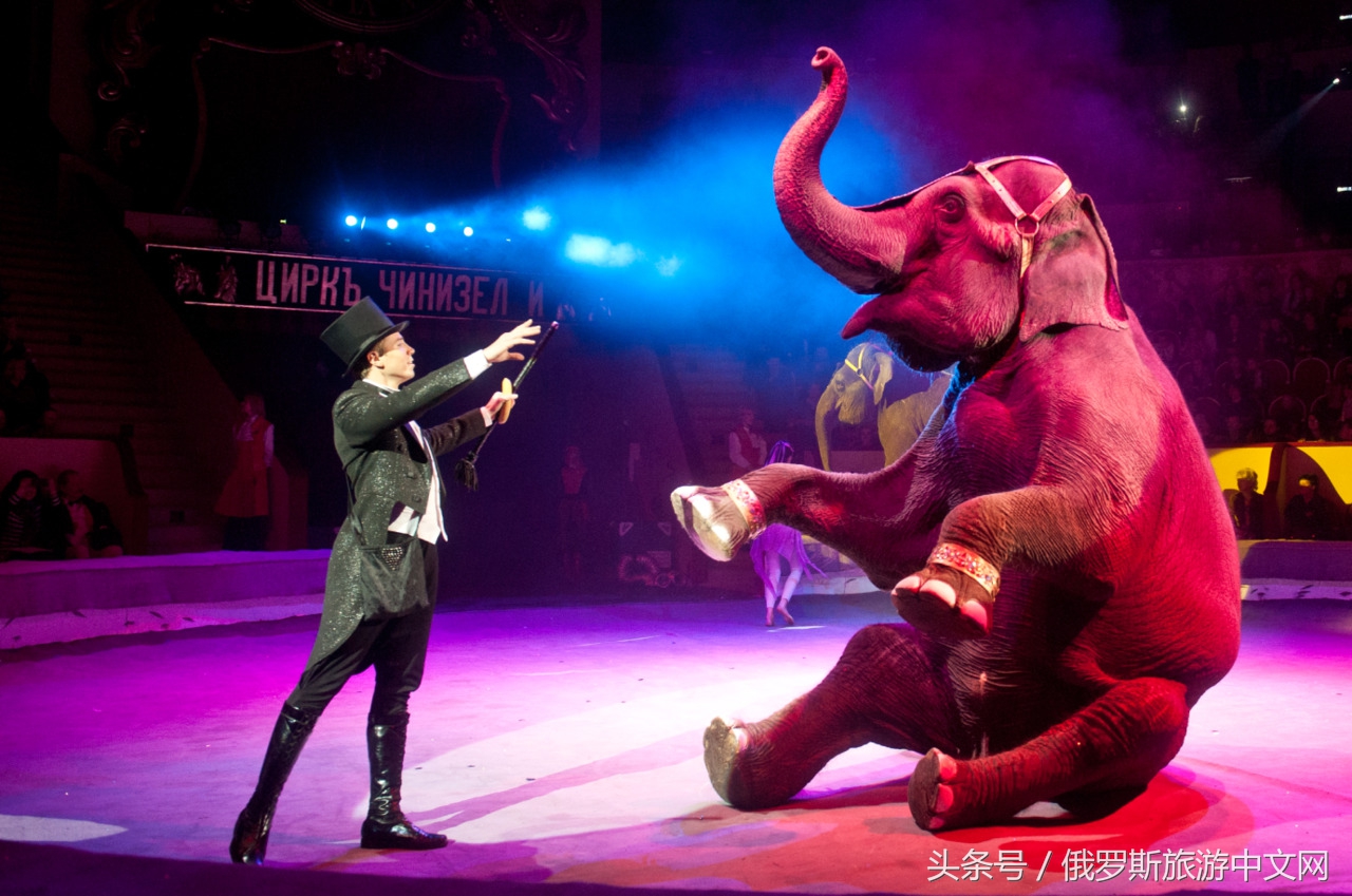 俄罗斯大马戏值得看吗现在,俄罗斯大马戏震撼开场