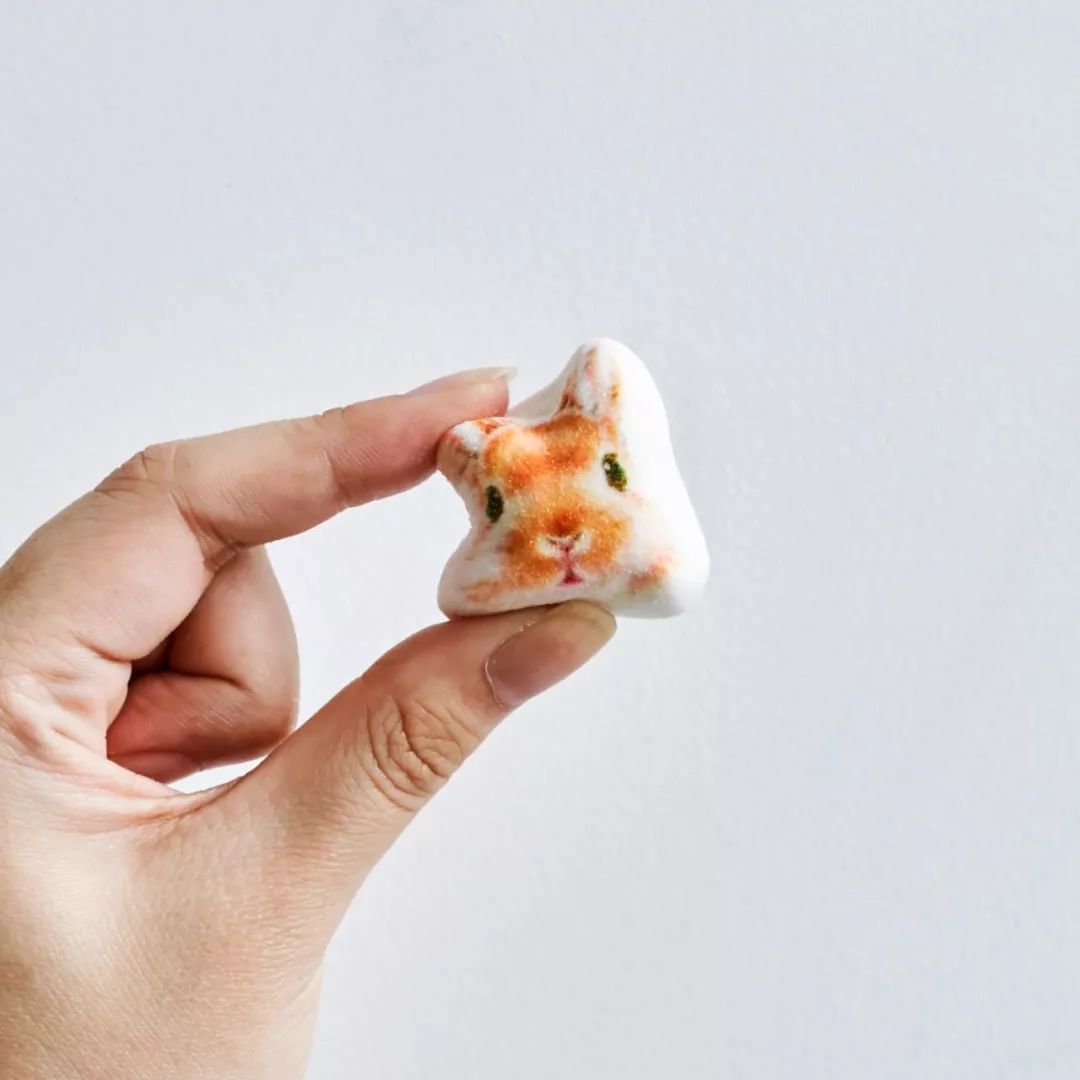 放开我的钱包啊！令猫奴闻风丧胆的种草大会！