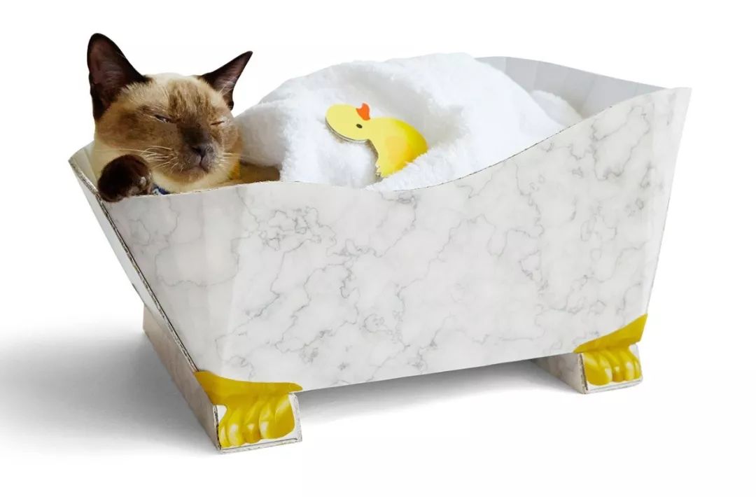 放开我的钱包啊！令猫奴闻风丧胆的种草大会！