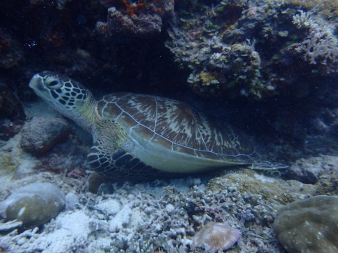 和闺蜜一起去水上世界,闺蜜一起游东湖公园
