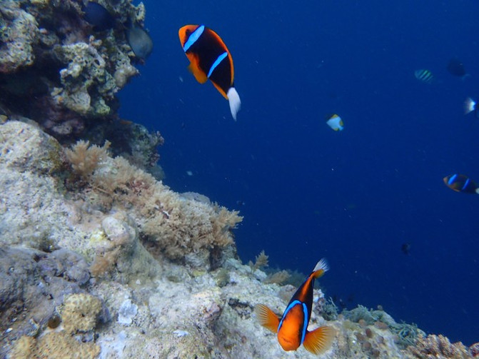 闺蜜一起游东湖公园,跟闺蜜一起去观光大海