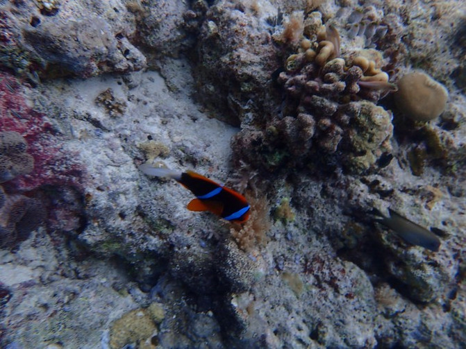 太平洋上的美丽岛屿,太平洋绝美海岛