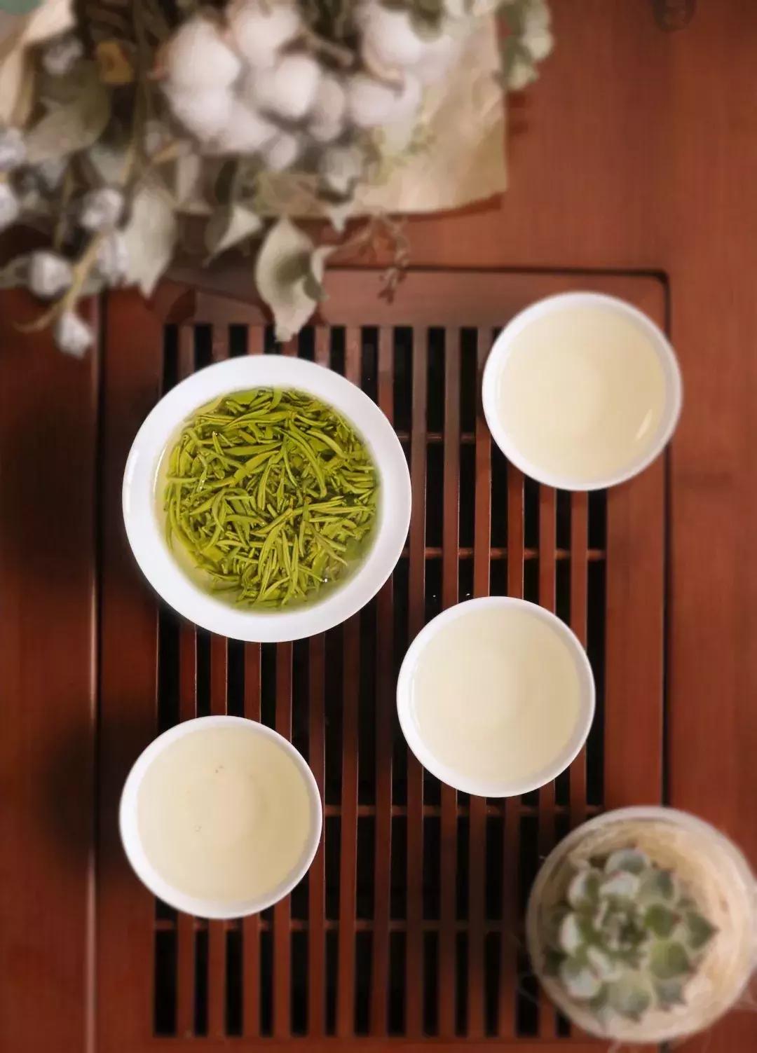 【茶禅】毛主席命名的都匀毛尖，到底有多好喝？