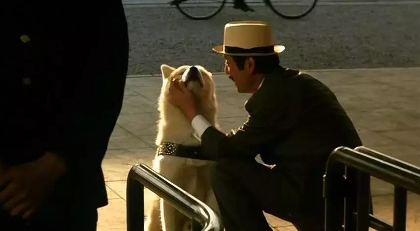 确认过的眼神是我想宠的人,确认过眼神是我想撩的灵魂