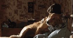 确认过的眼神是我想宠的人,确认过眼神是我想撩的灵魂