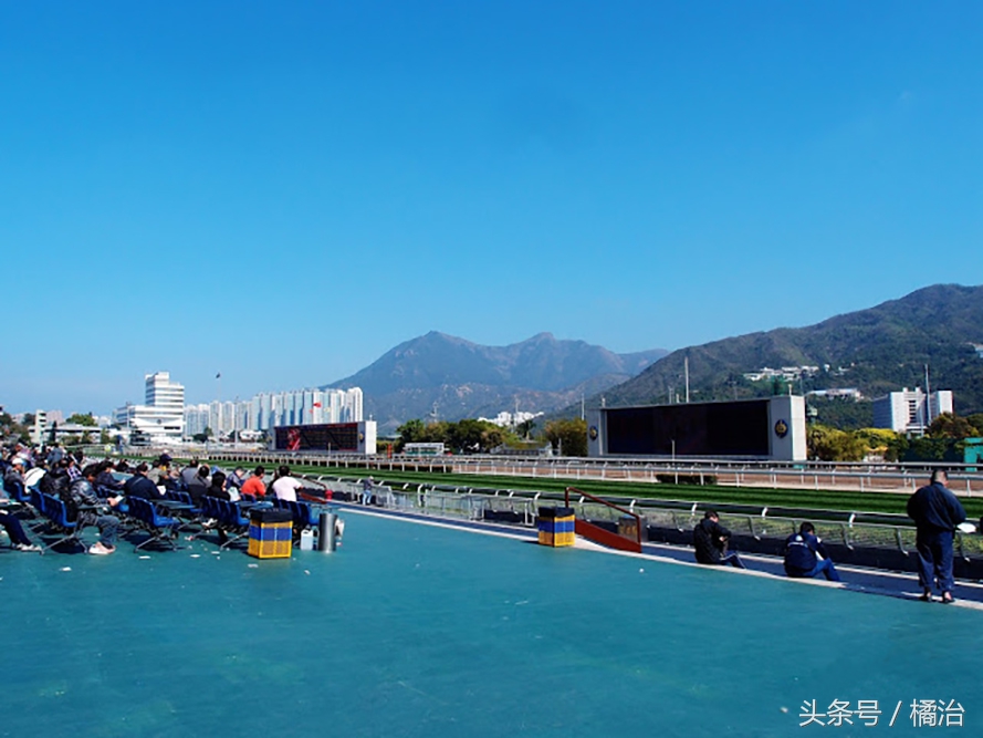 去香港赛马场，买张马票看马儿热血冲刺，超酷！（内含详细攻略）