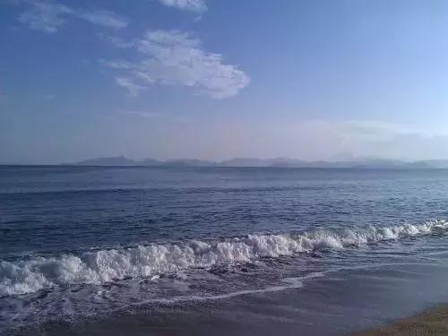 深圳仙湖植物园清明踏青赏花,深圳2022清明能去旅游吗