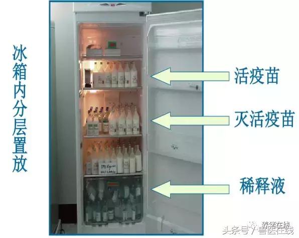 养猪是怎样提高生产效率的,如何提高养猪的人的技术