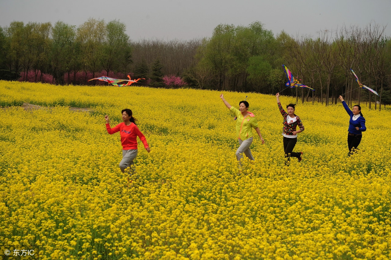 清明节最具特色的6个习俗,清明节的十大习俗