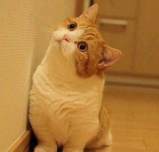 你的微信头像暴露了你的性格神准,你的微信头像暴露了你的身份