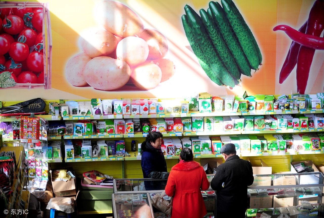 不想种地能干点啥事,农村不想打工种什么好