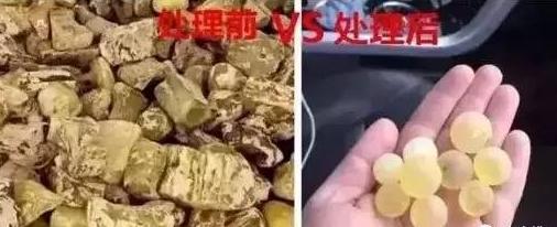 波兰世界琥珀展,波兰北部国际琥珀展