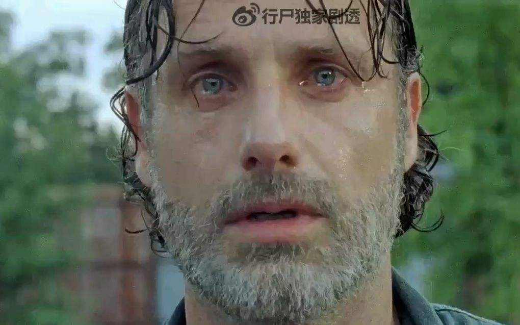 美剧行尸走肉第八季,美剧行尸走肉8季大结局