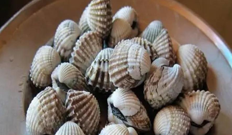 贝壳类海鲜最好吃有哪些,18款海鲜菜品分享给大家