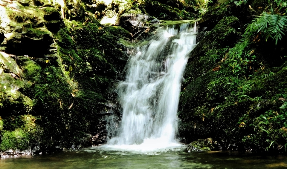 魅蓝note6拍照图片,魅蓝note6拍照的效果