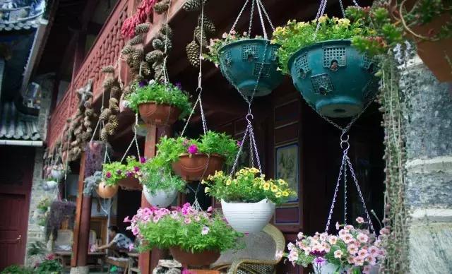 春来花自青秋至叶飘零原文解释,春来花自青秋至叶飘零出自哪里