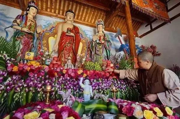 春来花自青秋至叶飘零原文解释,春来花自青秋至叶飘零出自哪里